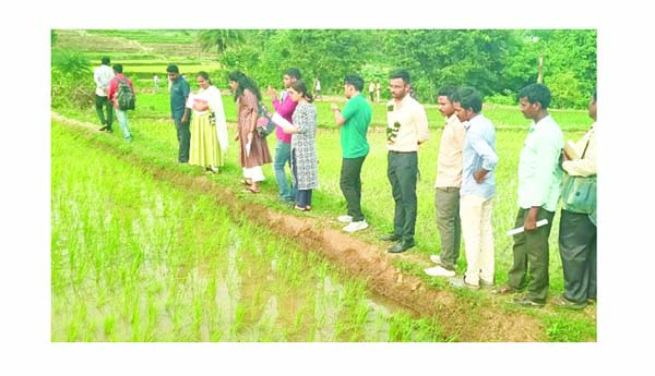 ఆదివాసీల జీవన స్థితిగతుల పరిశీలన