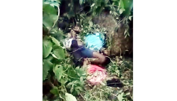 లోయలో బైక్‌ బోల్తా పడి ముగ్గురు యువకులు దుర్మరణం