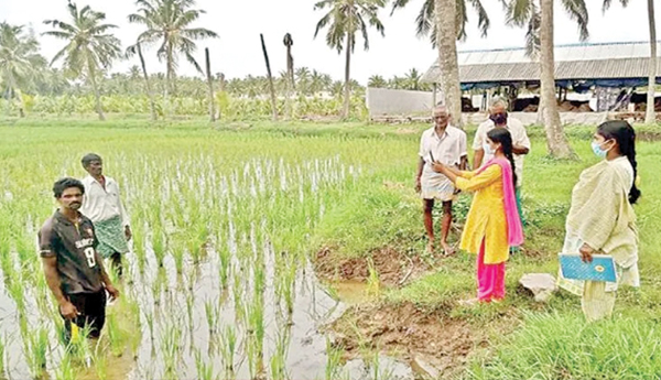 Fluctuation-in-e-crop-registrations