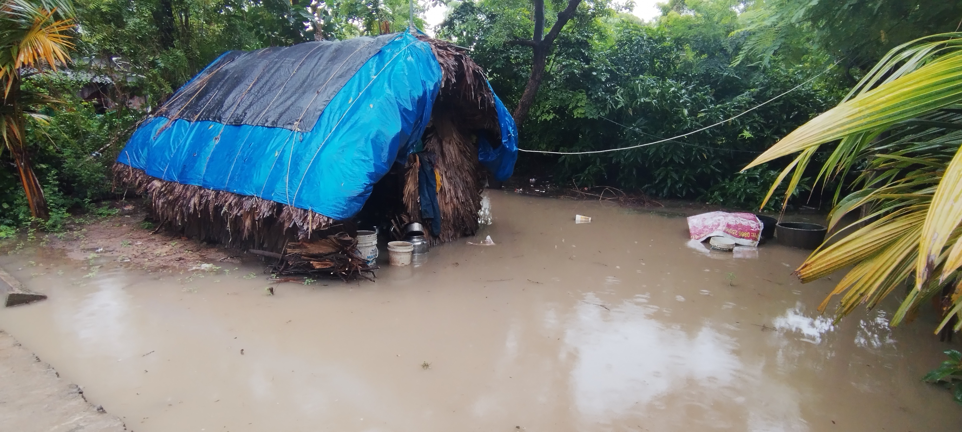 ముదినేపల్లిలో వర్షం