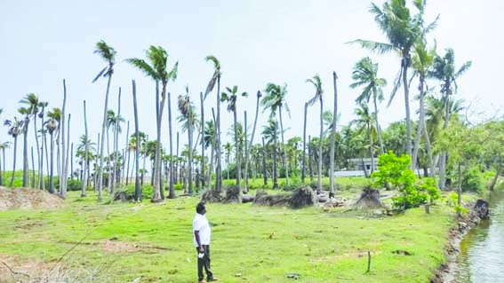 భూగర్భ జలాలు ఉప్పుమయం