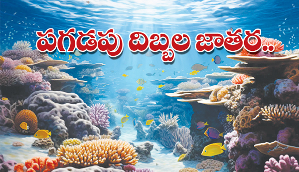 /Coral-Reef-Fair..