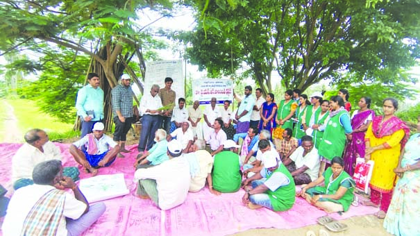 యాజమాన్యం పద్ధతులతో మేలైన దిగుబడి