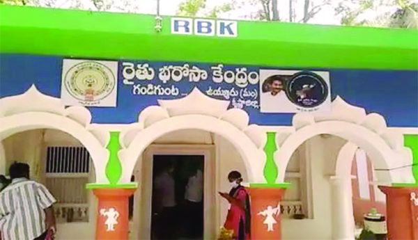 RBK-fertilizer-in-the-market