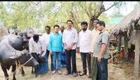 పెయ్య దూడల ఉత్పత్తిని సద్వినియోగం చేసుకోవాలి : పశు వైద్యాధికారి డాక్టర్ ప్రవీణ్ కుమార్