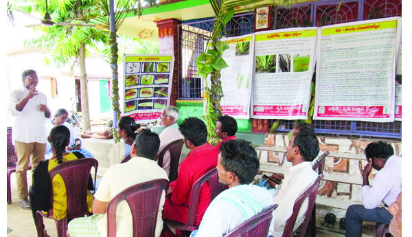 వరిలో యాజమాన్య పద్ధతులపై శిక్షణ