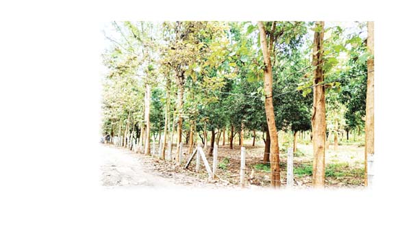 చేతులు తడిపితేనే పనులు