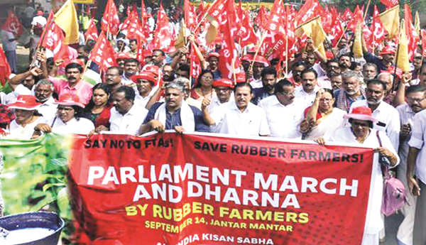 Rubber-farmers-should-be-protected