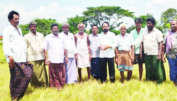 కరువు సహాయక చర్యలు చేపట్టాలి