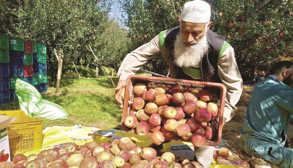 removal-of-additional-tarrif