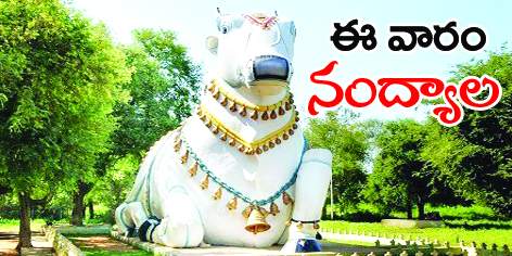 వీక్లీ రౌండప్‌