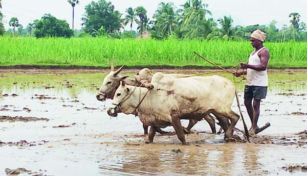 చివరి దశలో..చిగురిస్తున్న ఆశలు
