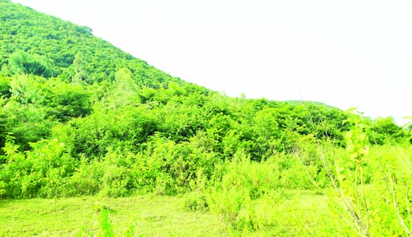 సర్వే నెంబర్లు ఏమార్చి..!