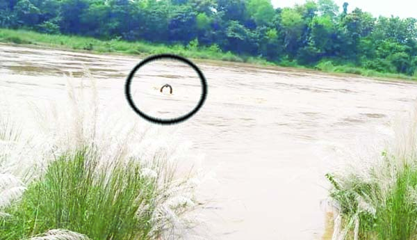 ఇన్‌ఫిల్టర్‌ బావుల మీదుగా రిజర్వాయర్‌ నీరు