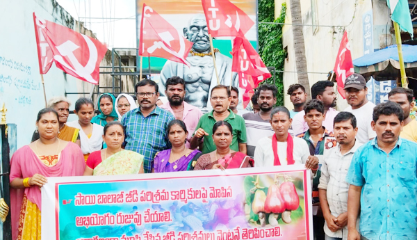 జీడి కార్మికులకు న్యాయం చేయాలి