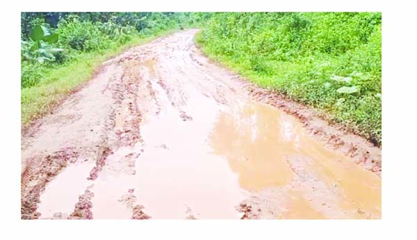 అధ్వాన రోడ్లతో గిరిజనులకు తిప్పలు