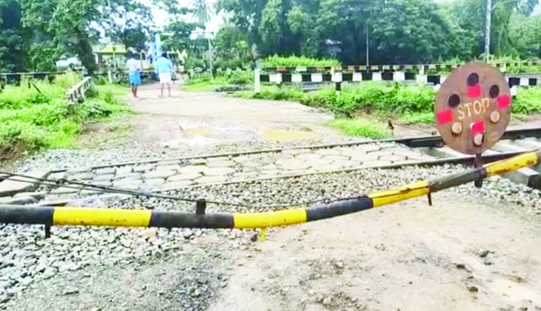 ఒంటరి ఏనుగు బీభత్సం