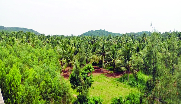 Another-bonfire-on-the-coast