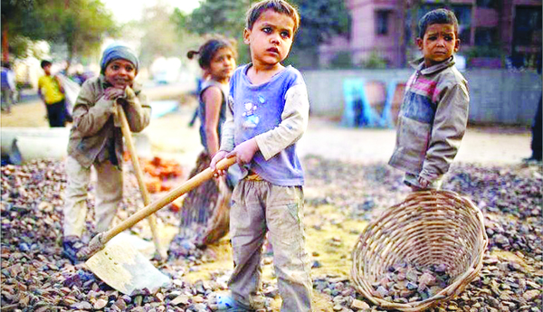 Quit-studies-and-go-to-work