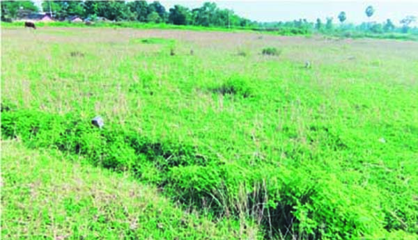 ఎవరికి లాభం?