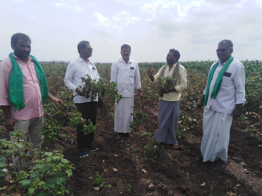 పత్తి పంటను పరిశీలిస్తున్న రైతు సంఘం నాయకులు
