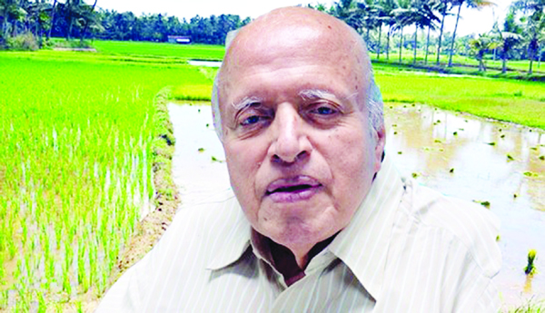The-breadwinner-of-the-country-MS-Swaminathan