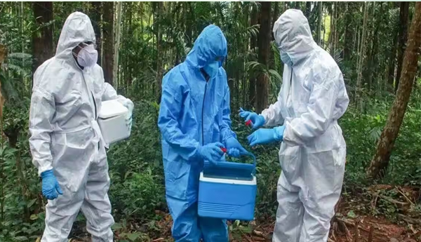 /Nipah-cases-are-decreasing-in-Kerala