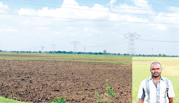 paddy-cultivation-neglect