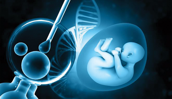 Artificial-embryo