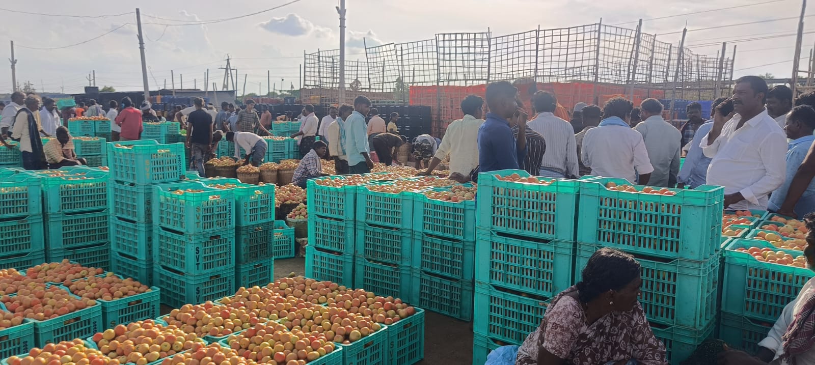 ప్యాపిలి మార్కెట్‌కు వచ్చిన టమోటా