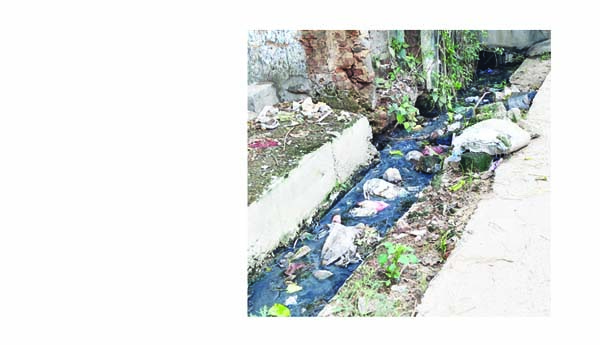 సేకరణ సరే.... కాలువల పరిస్థితి ఏమిటి?