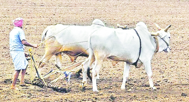 శతాబ్ధంలో ఇదే అత్యల్పం..!
