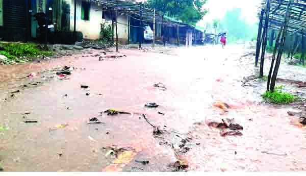 మన్యంలో భారీ వర్షం