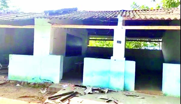 ఏనుగుల బీభత్సం