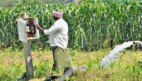 AP-is-top-in-sanctioning-electricity-connections