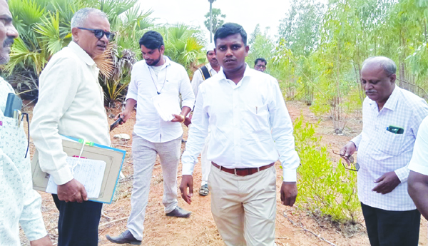 నష్టపరిహారం నివేదికను ఉన్నతాధికారులకిస్తాం: ఆర్‌డిఒ