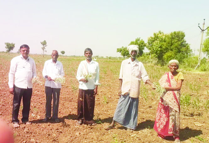 పంటలను పరిశీలిస్తున్న రైతు సంఘం నాయకులు