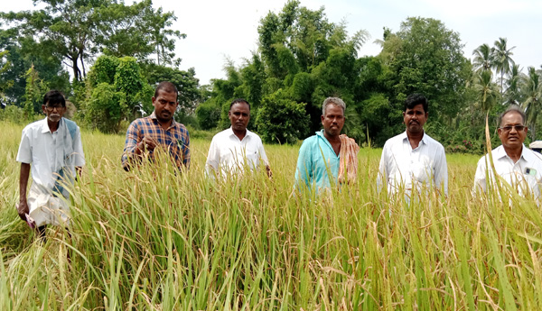 శివారు భూములకు సాగునీరివ్వండి : సిపిఎం