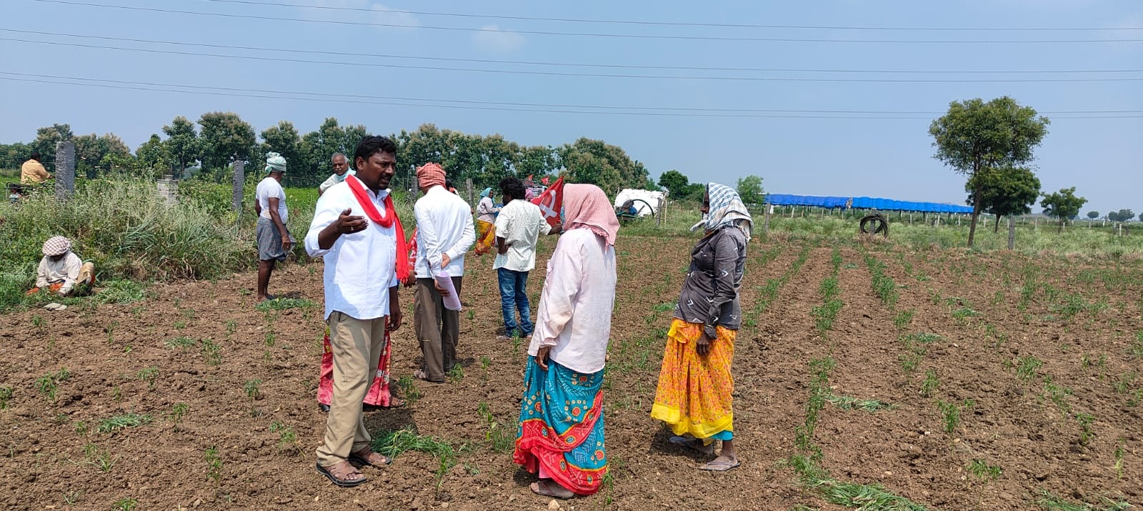 కరువు మండలాలుగా ప్రకటించి ఆదుకోండి