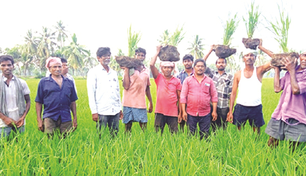 సాగు నీరివ్వాలని వరిదుబ్బులతో నిరసన