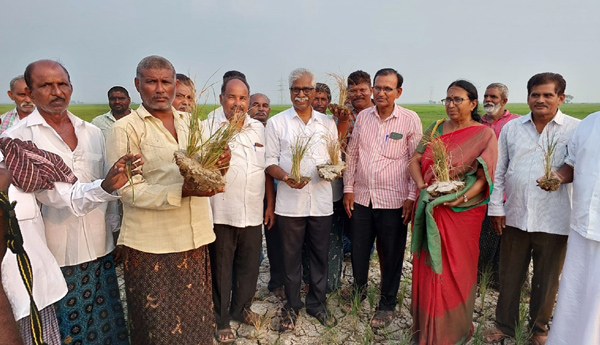  కొమ్మమూరు కాలువకు అత్యవసరంగా నీళ్లు విడుదల చేయాలి