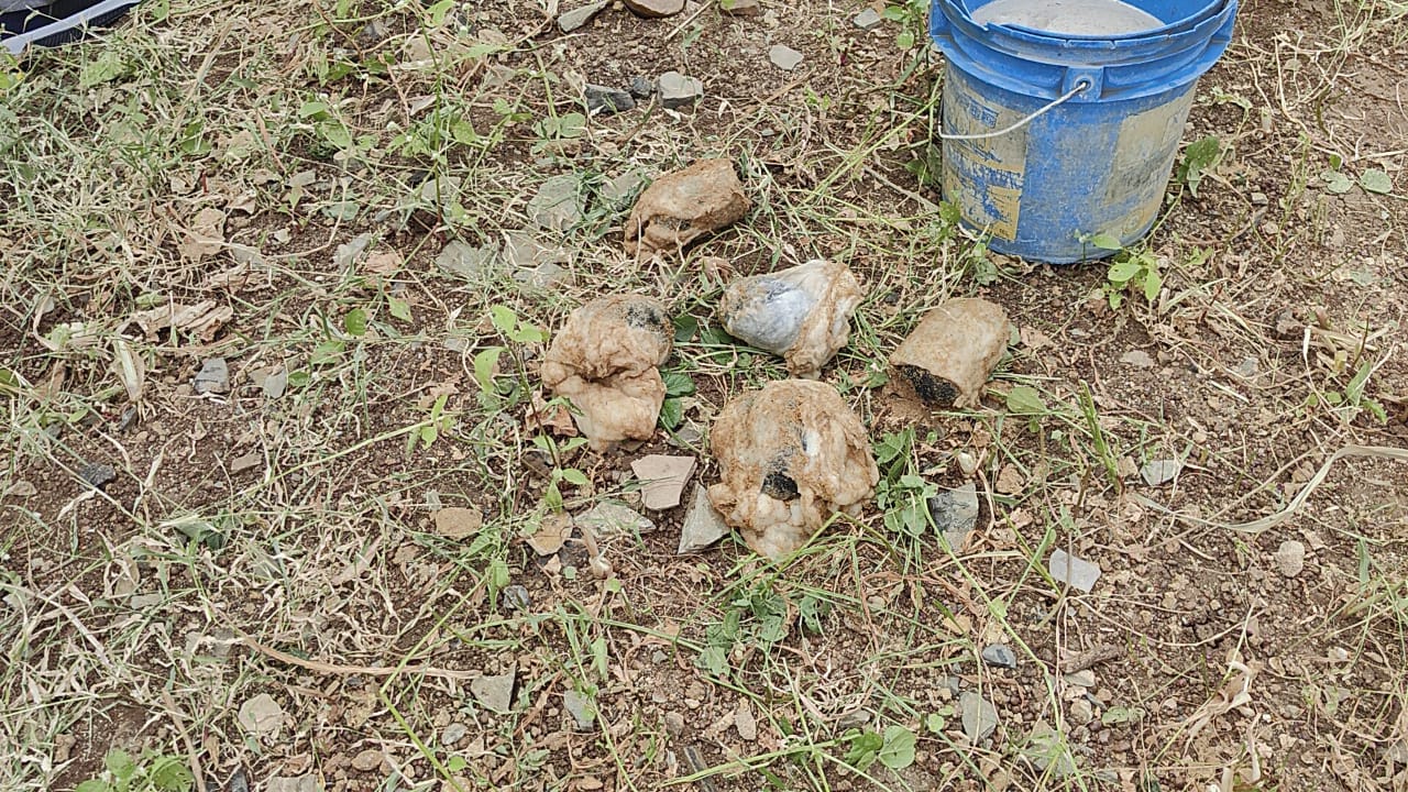 పోలీసులు స్వాధీనం చేసుకున్న నాటుబాంబులు బకెట్