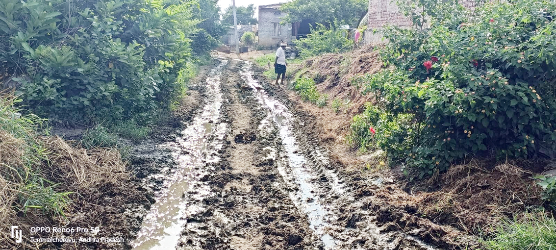పల్లెల్లో డ్రెయినేజి అస్తవ్యస్తం