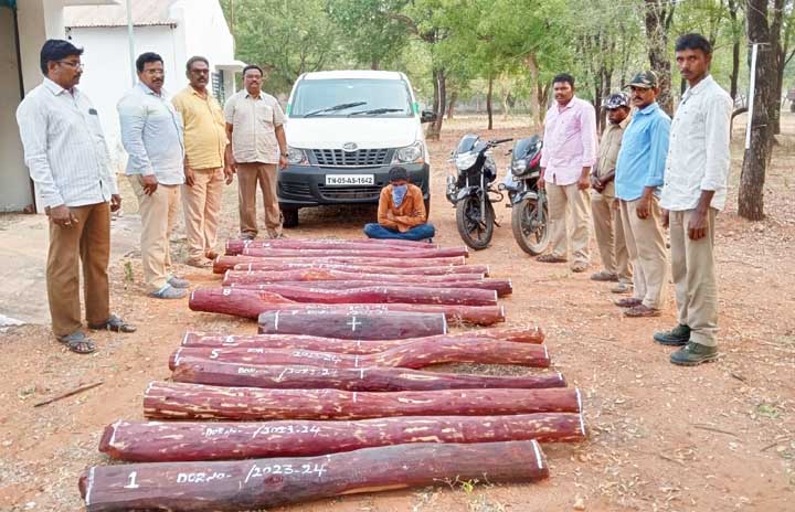 ఎర్ర చందనం దుంగలు స్వాధీనం