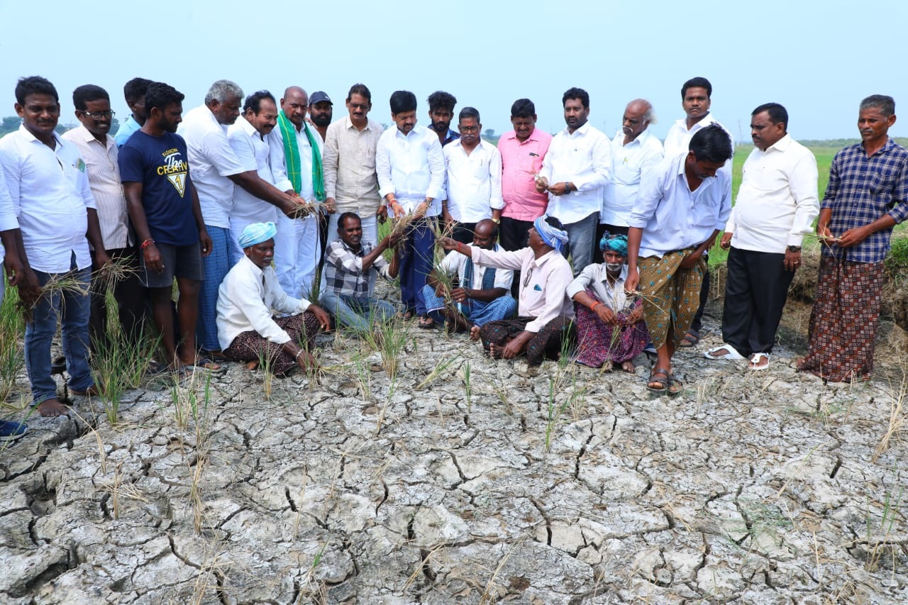 ప్రభుత్వ నిర్లక్ష్యంతోనే రైతులకు ఇబ్బందులు : కొల్లు