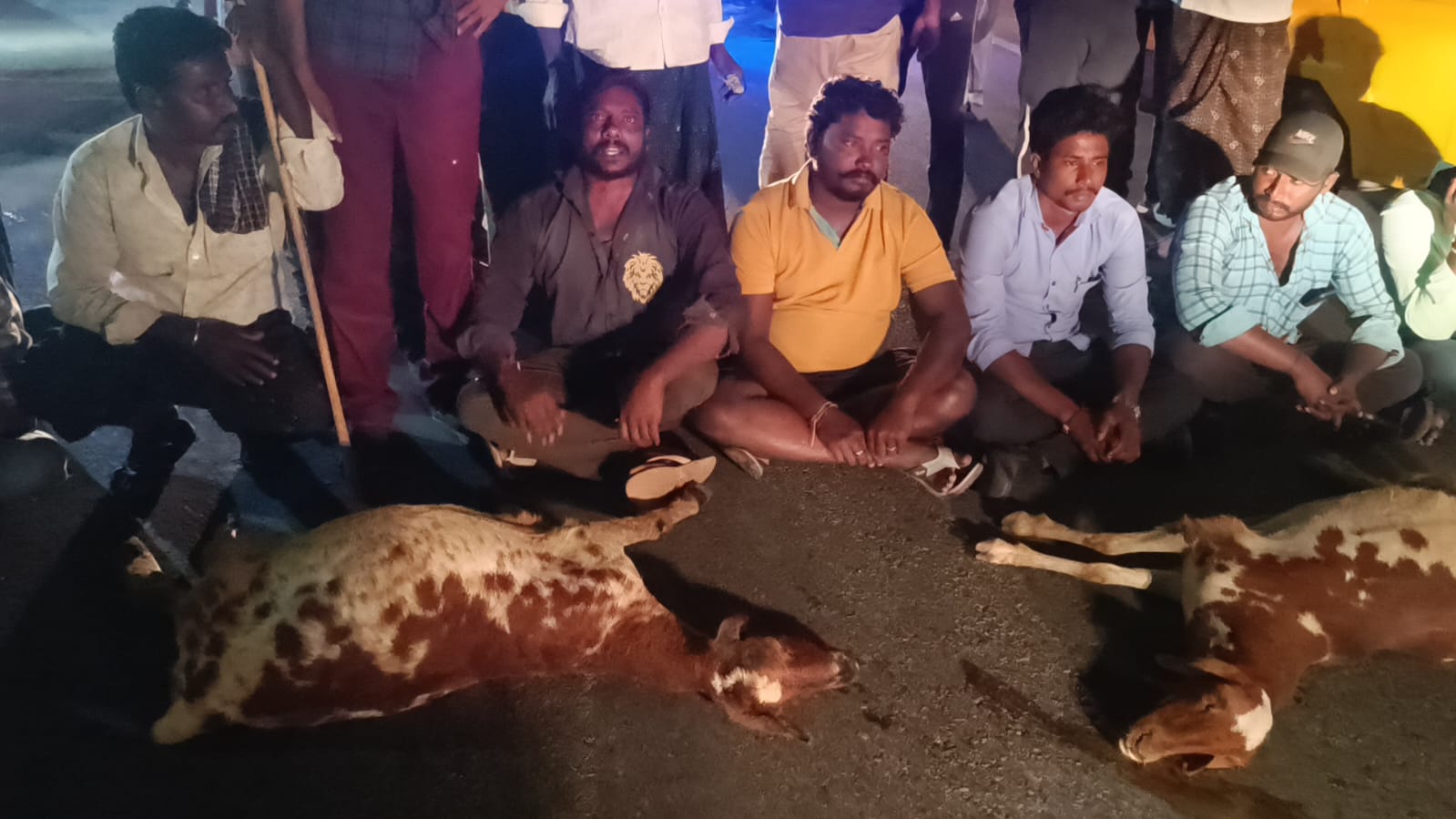 పోలీసు వాహనం ఢకొీని గొర్రెలు మృతి