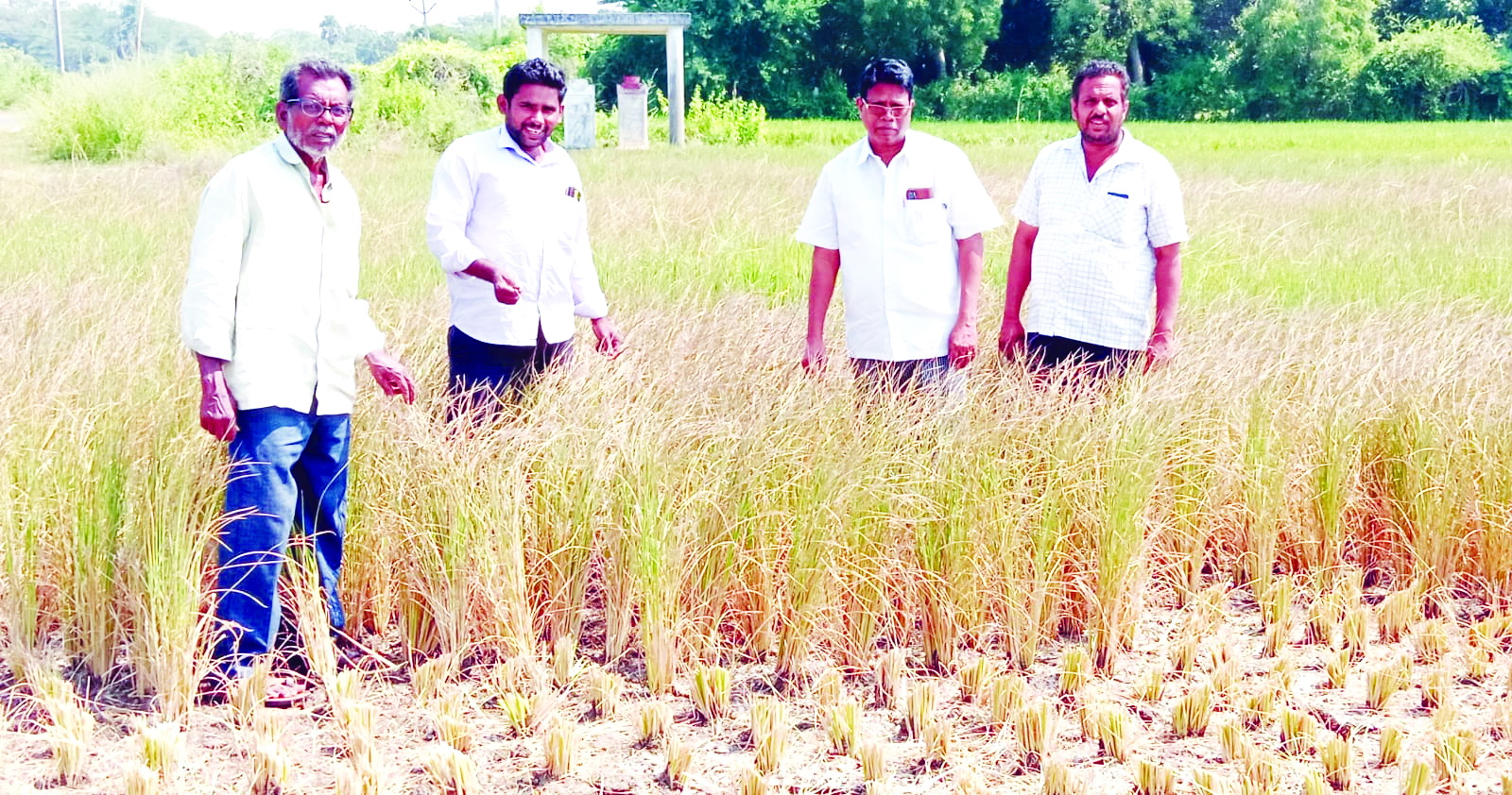 తిరువూరును కరువు ప్రాంతంగా ప్రకటించాలి : సిపిఎం