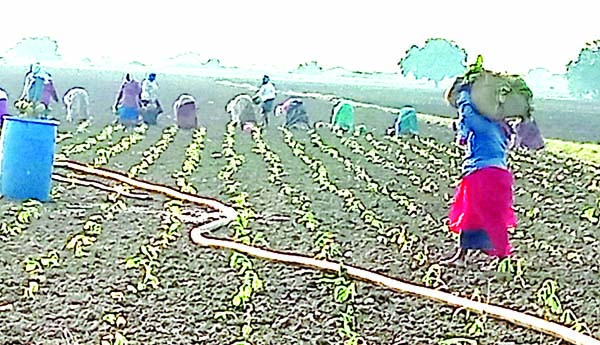 ఊరించిన వర్షం..