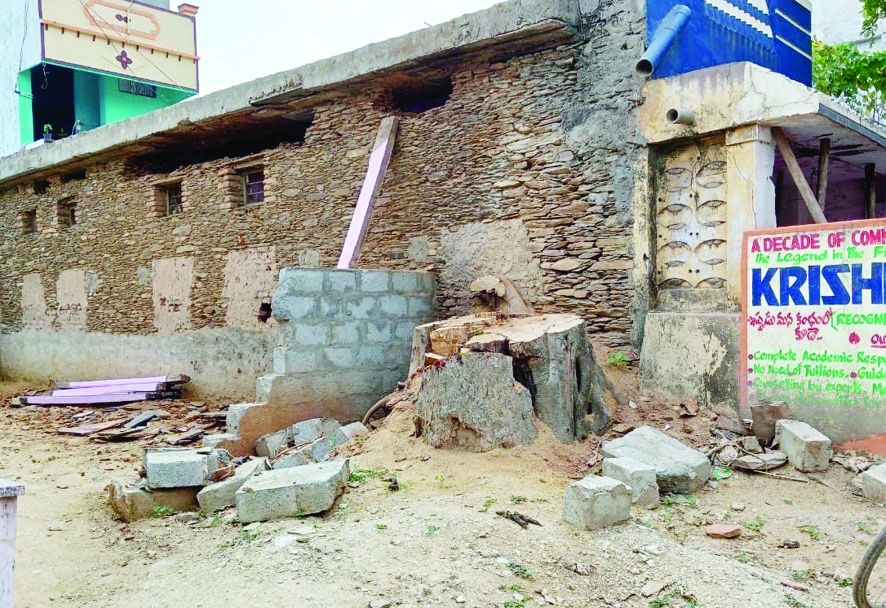 నరికేసిన వందల ఏళ్ల నాటి మర్రి చెట్టు