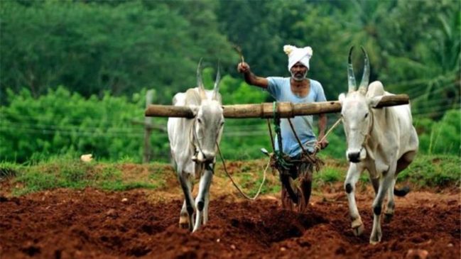 ఈ-కెవైసికి దూరంగా 20 వేల మంది..!